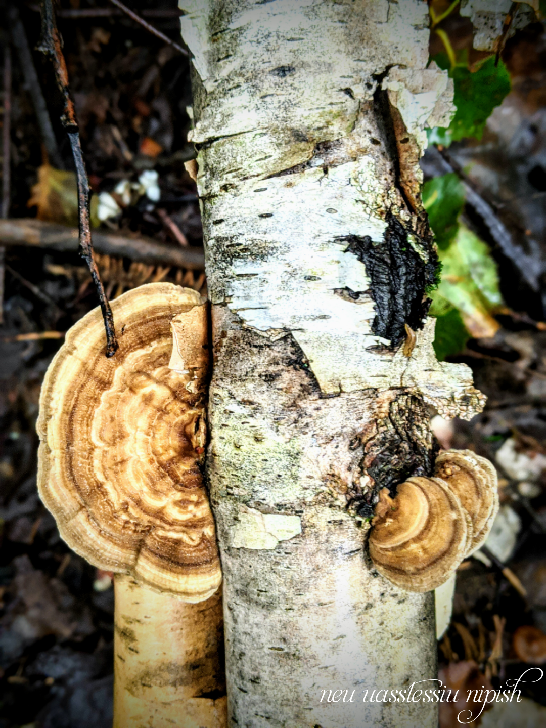 TextOnPhoto_20200908071751.png