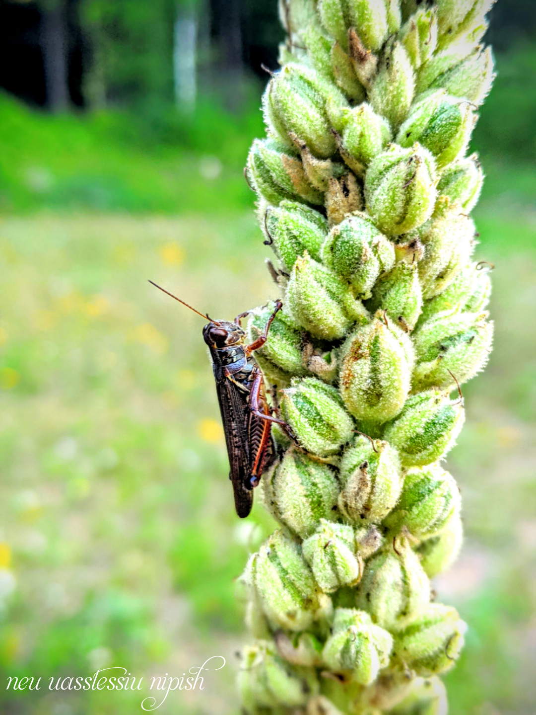 TextOnPhoto_20200921113800.png