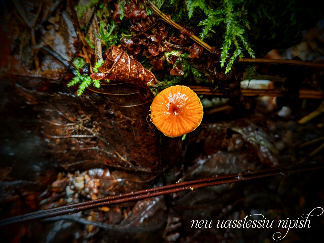 TextOnPhoto_20200911010506.png
