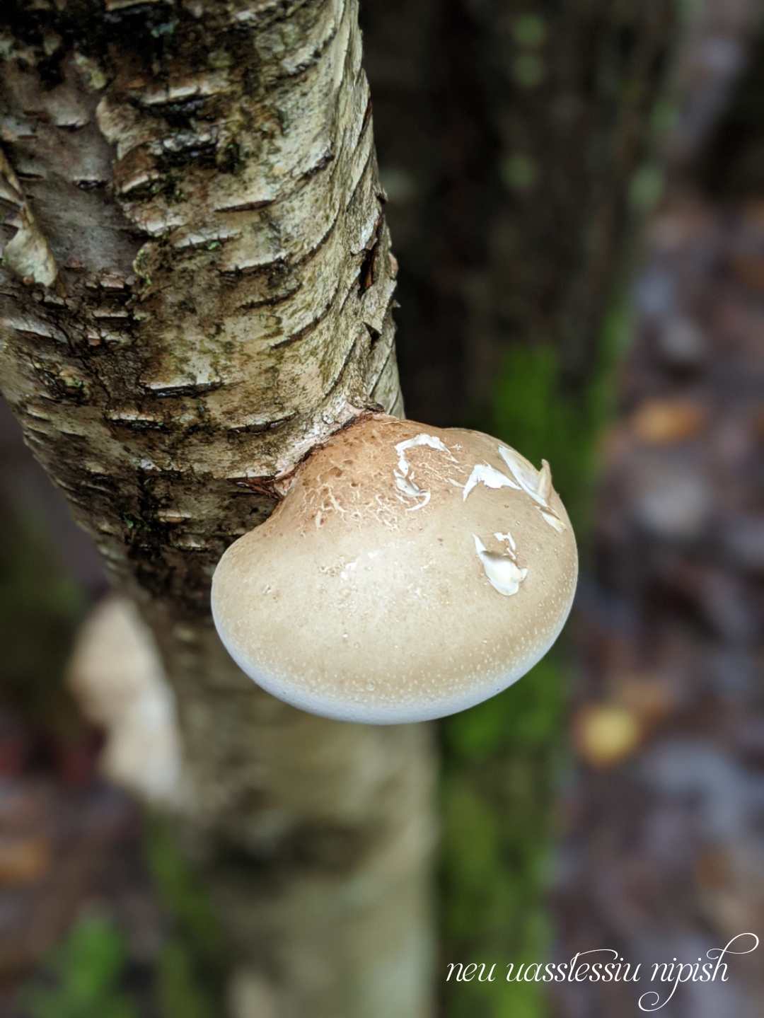 TextOnPhoto_20200911070050.png