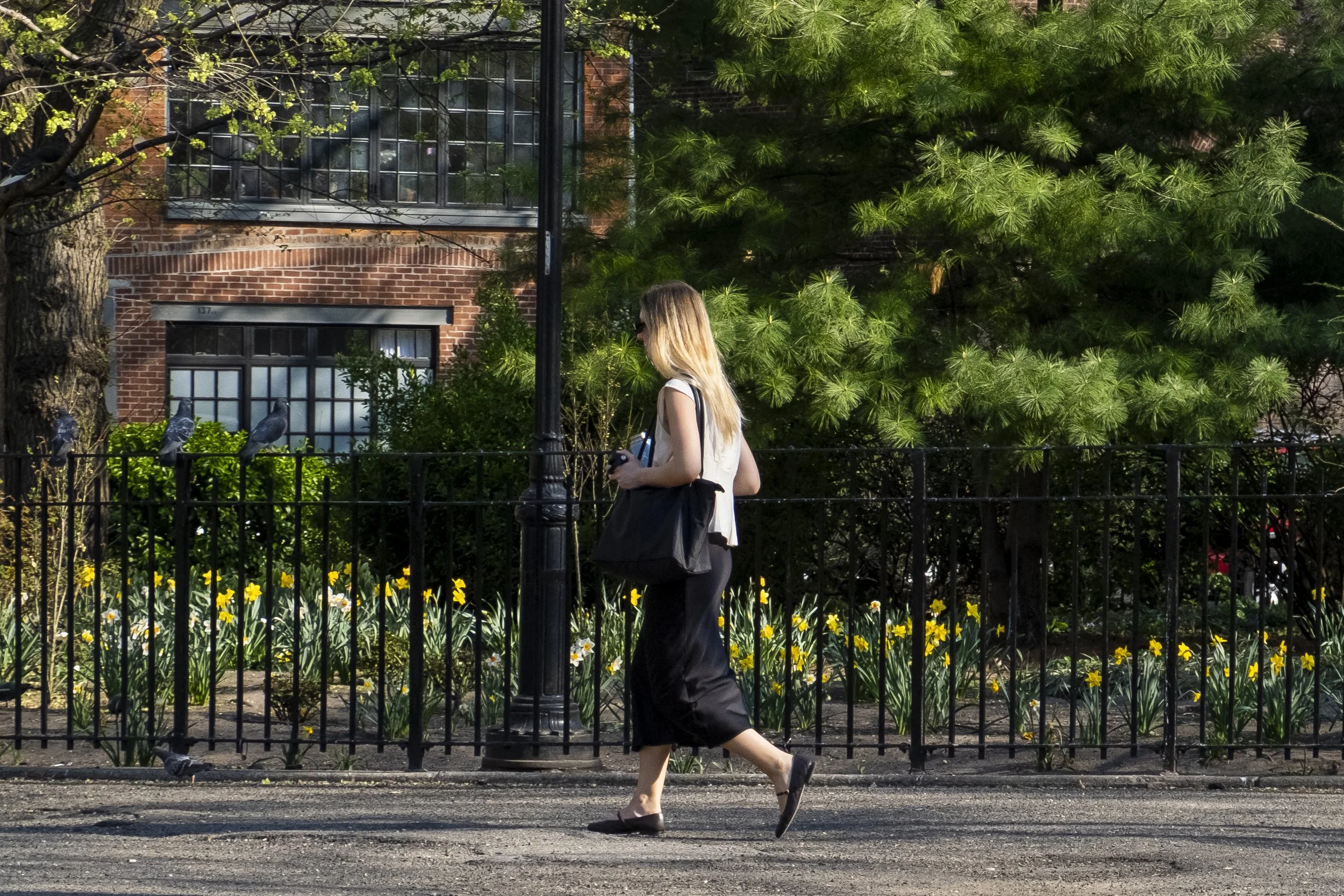 1RD_0414'26_LS-25 copy.jpg