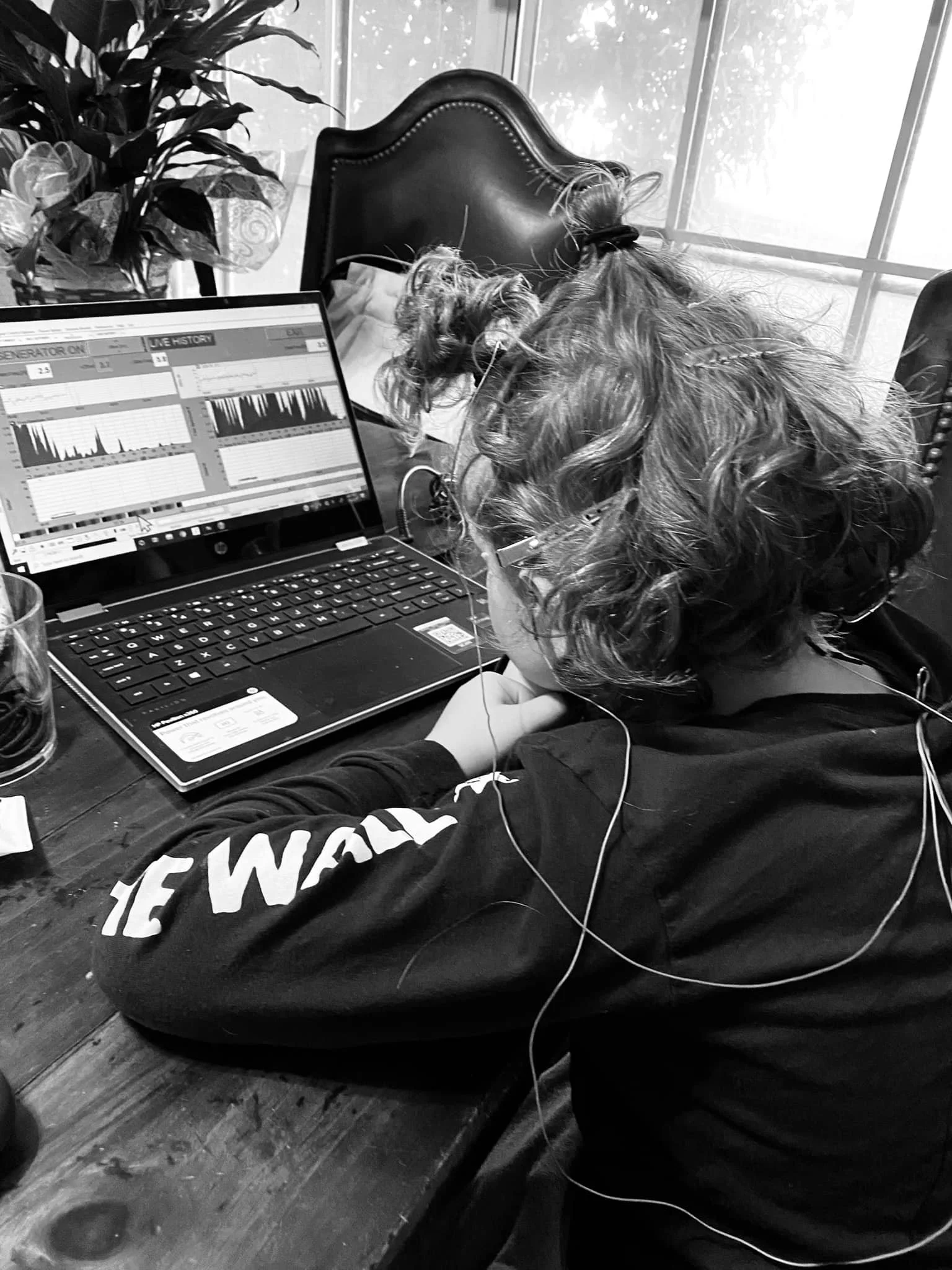 Micro Current Neuro Feedback