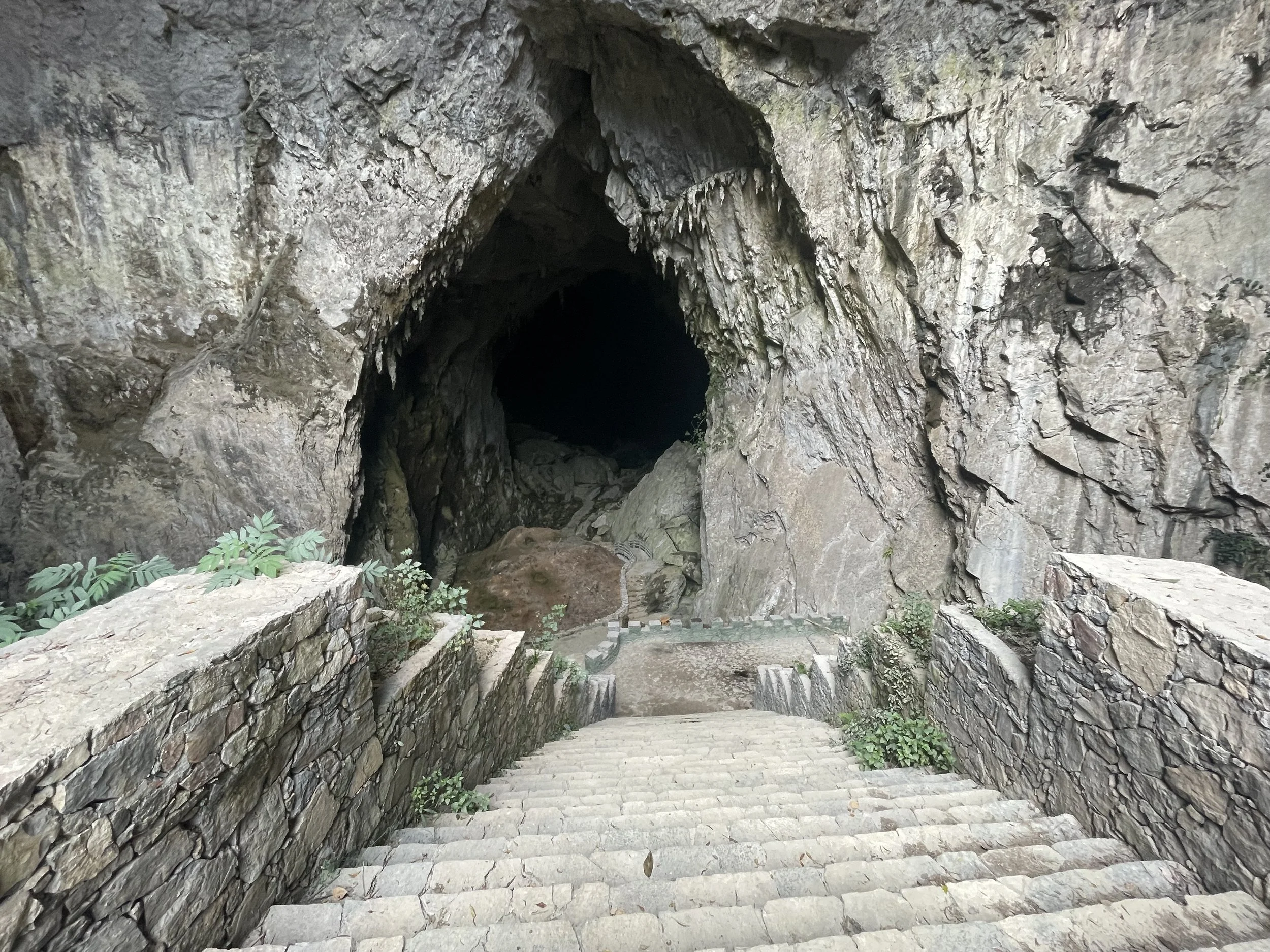 IMG_5696.jpeg