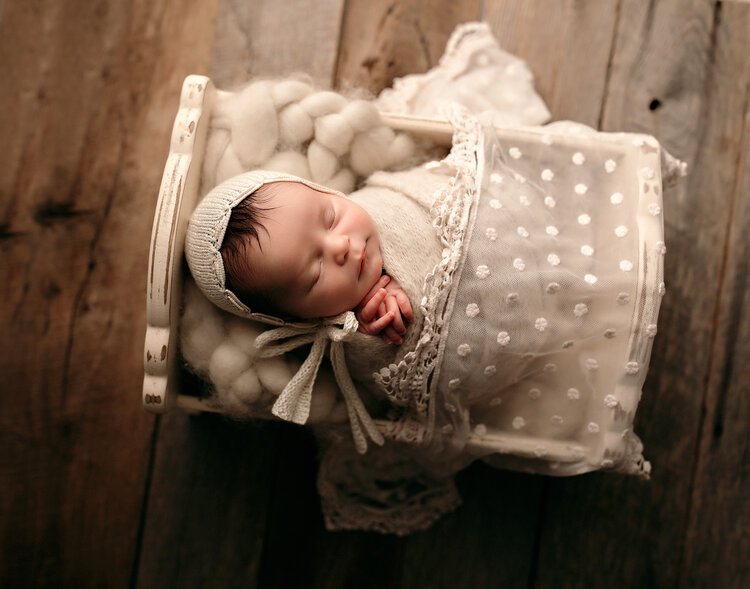 newborn-photography-chicago-geneva-illinois (3).jpg