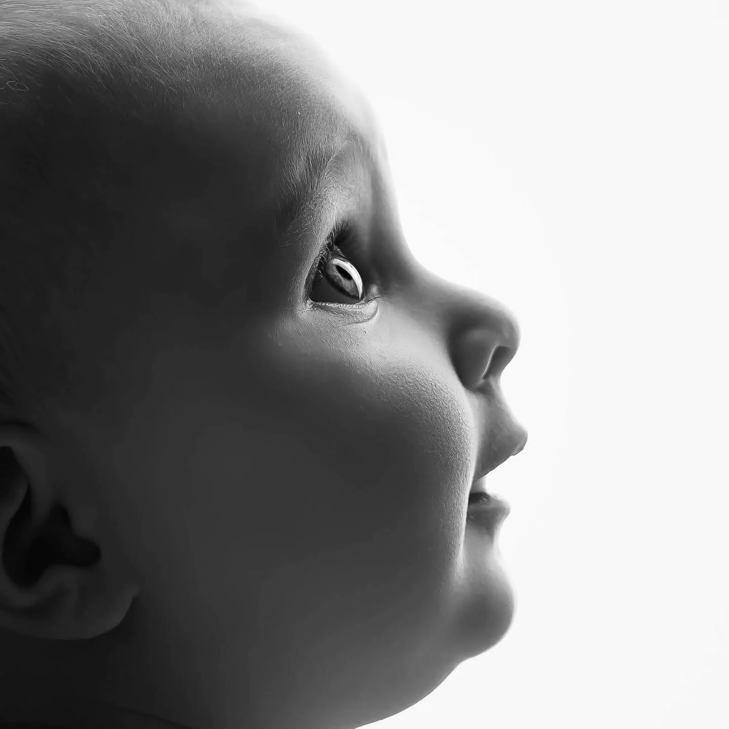 The beauty in the little things 💗

#genevaillinois #genevail #illinoisbabyphotographer #stcharlesil #classicbaby