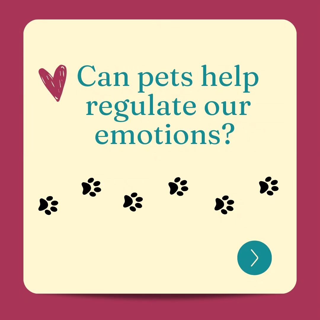 🐕Different people may find emotional support and stress relief from various types of pets based on personal preferences, lifestyles, and individual connections with animals.The positive impact on emotional regulation may not be limited to specific s