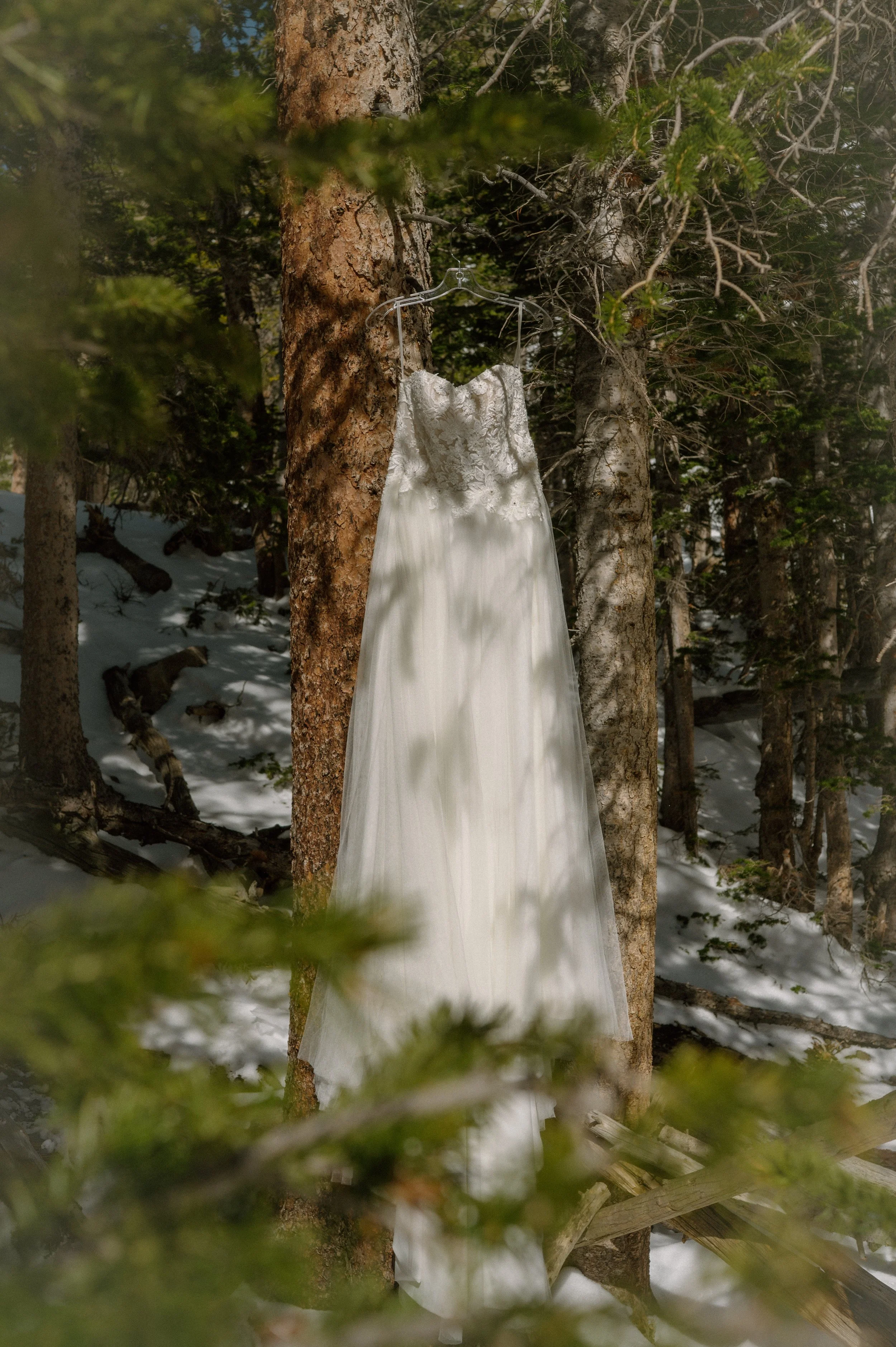 JenaBPhoto-39.jpg