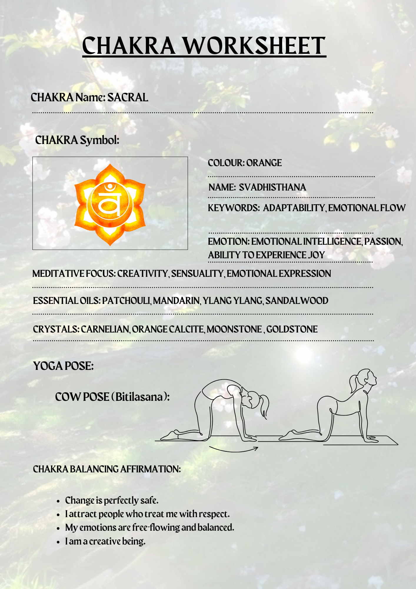 CF403C43-58AC-4D35-A1A9-EF503D9259D1.png
