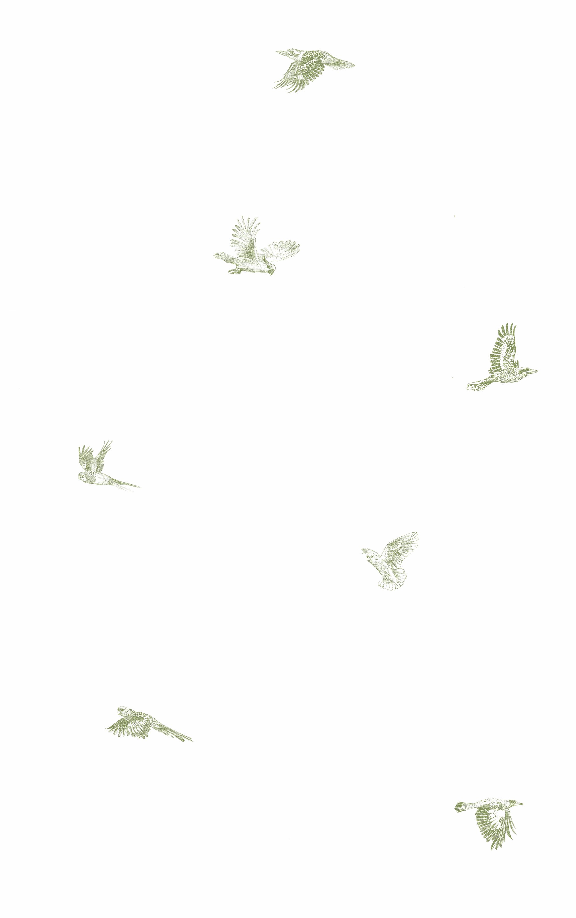 WS_TTNB_green_repeat.jpg