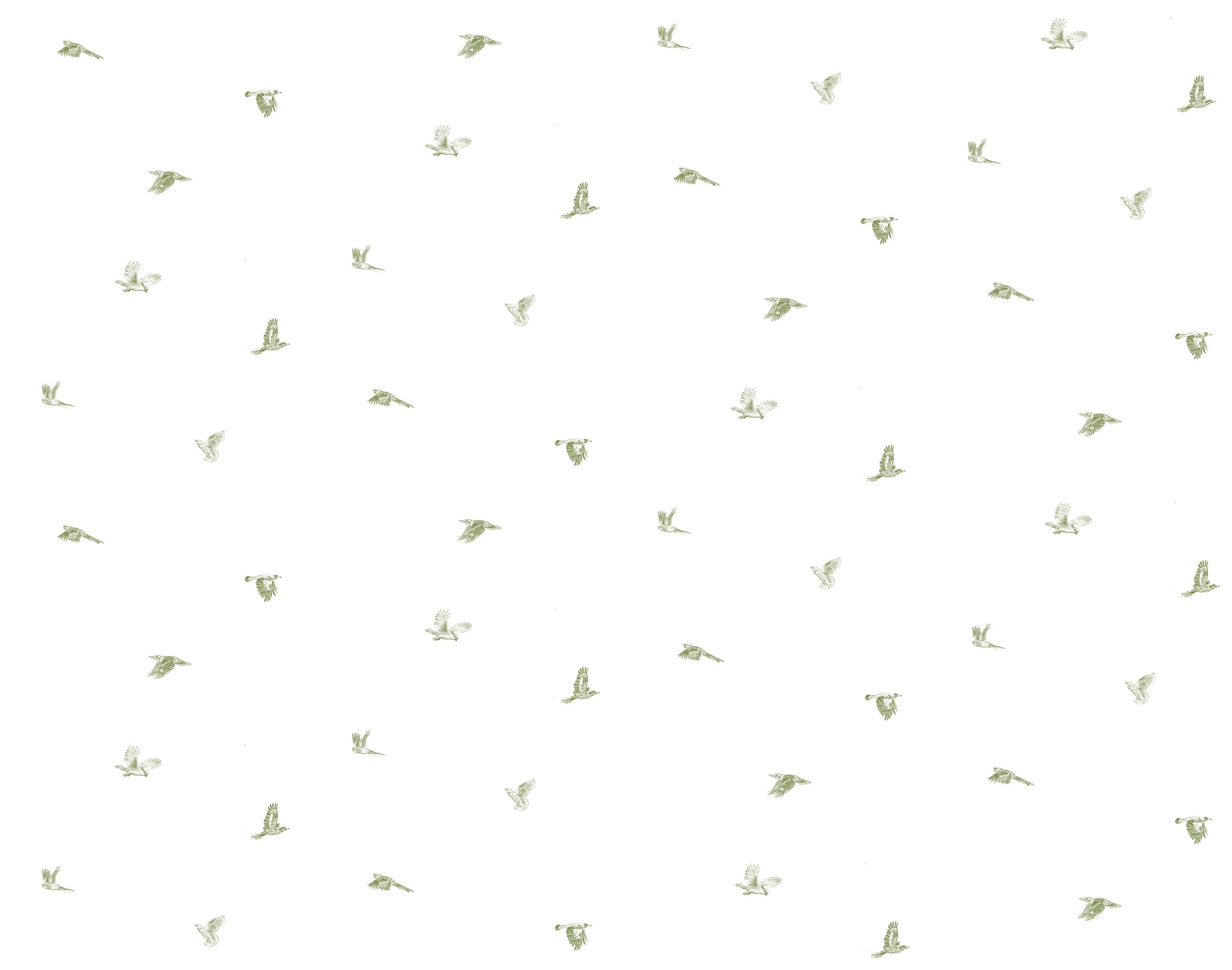 TTNB_green.jpg
