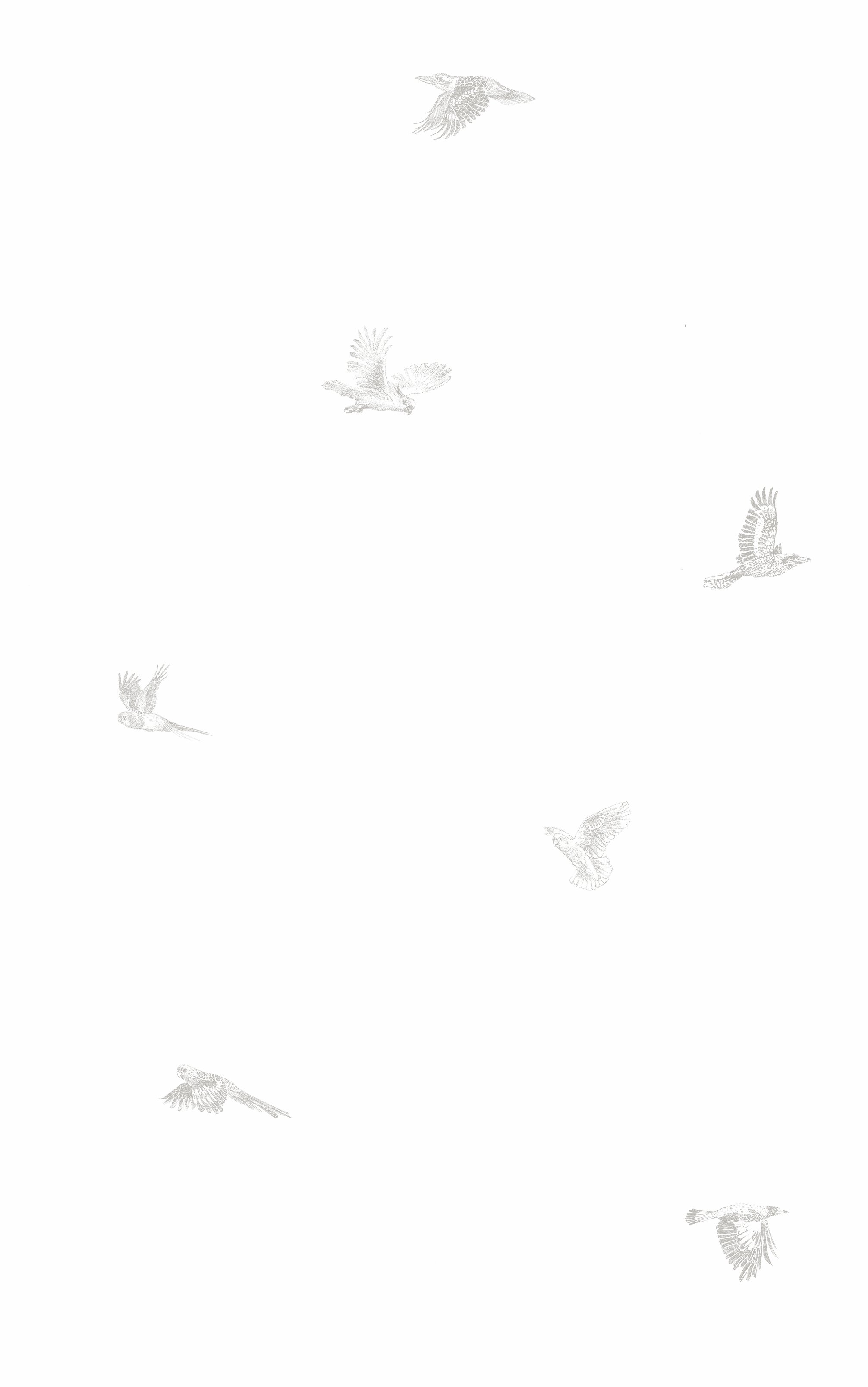 WS_TTNB_stormysky_repeated.jpg