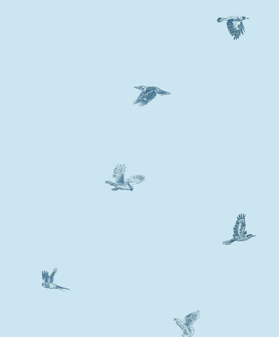 Screen Shot 2025-11-12 at 1.45.31 pm.png