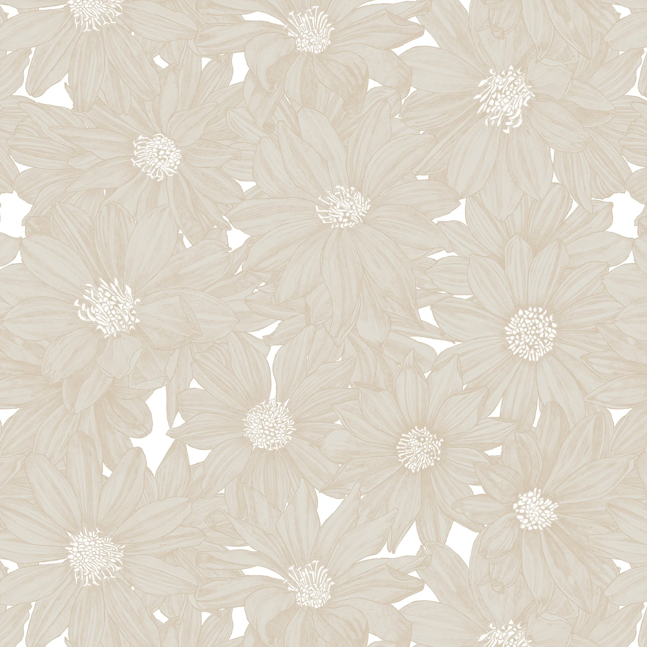 WEBSITE*8_TheSunnySide_REPEAT copy.jpg