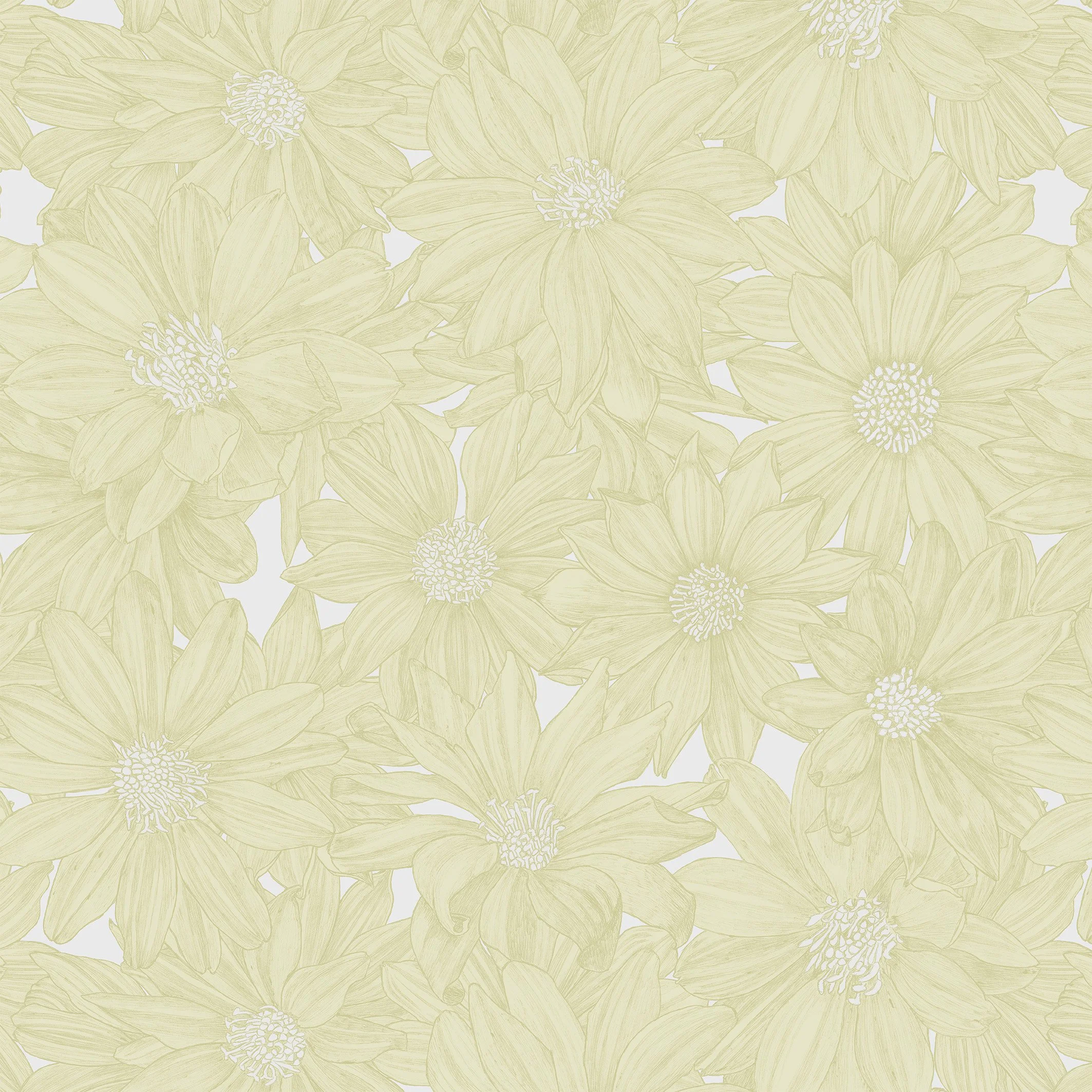 website_11.BUTTER_TheSunnySide_REPEAT copy.jpg