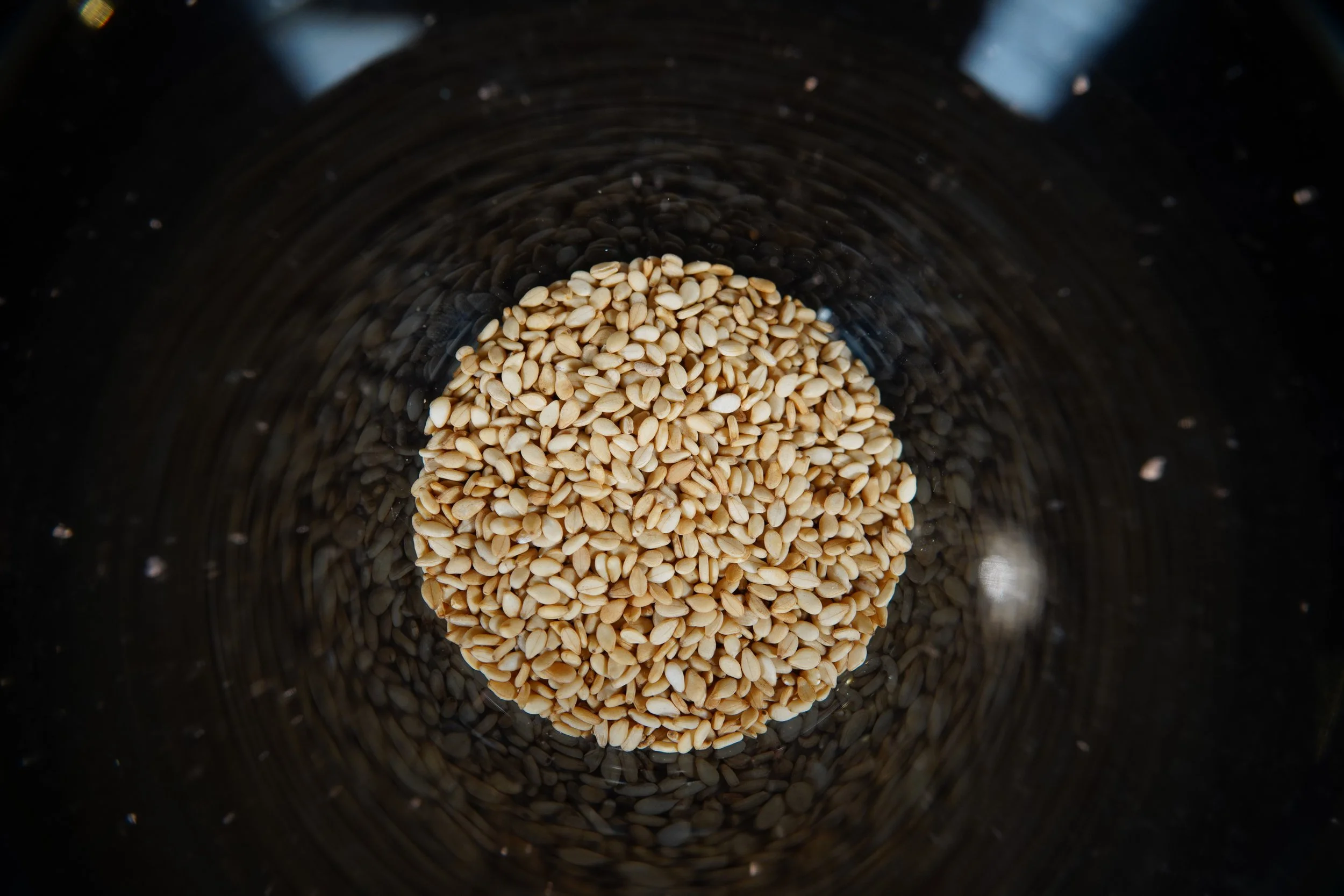 Sesame Seed.JPG
