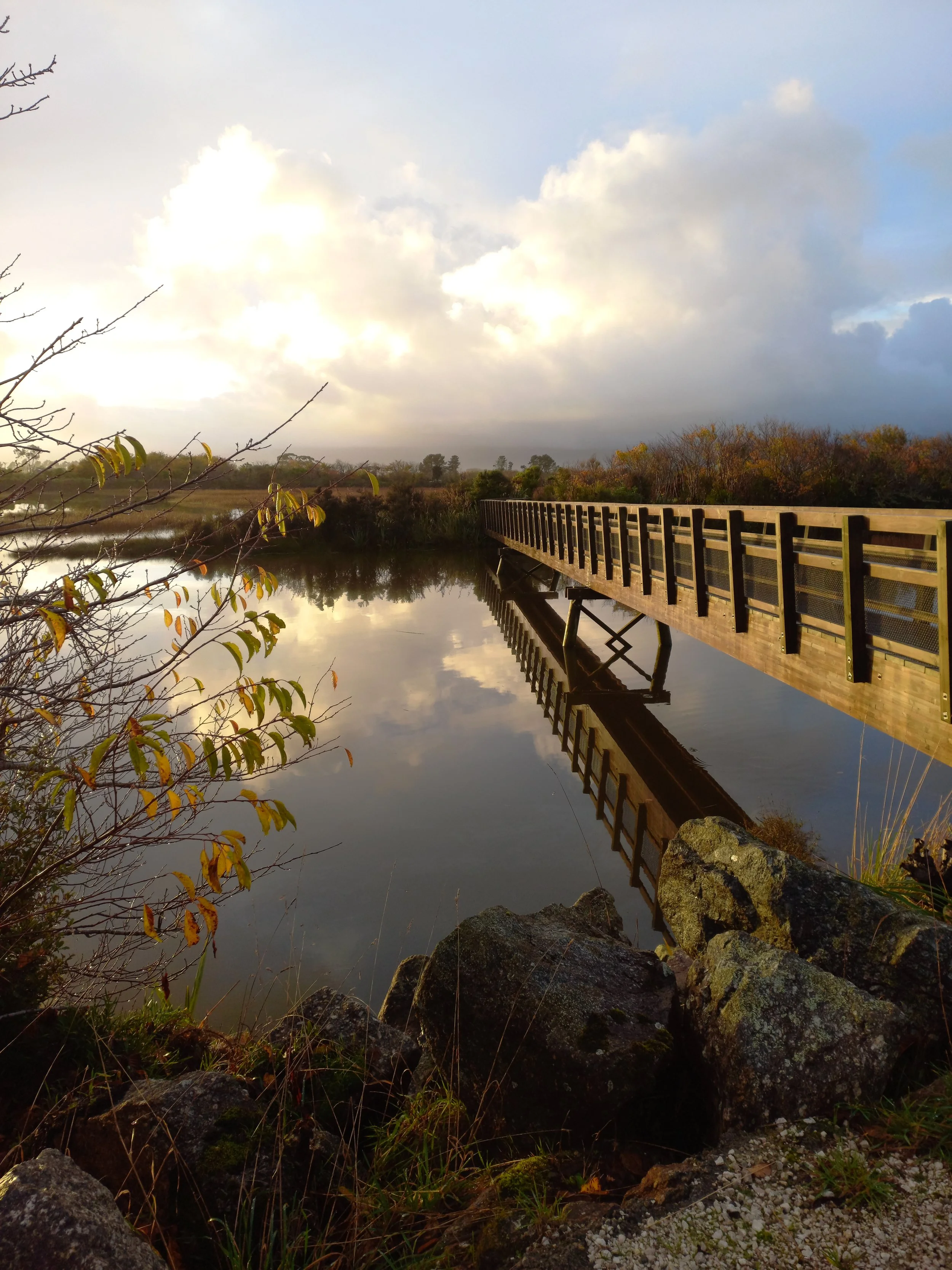 Remaining Strong and Rational in Times of Trial