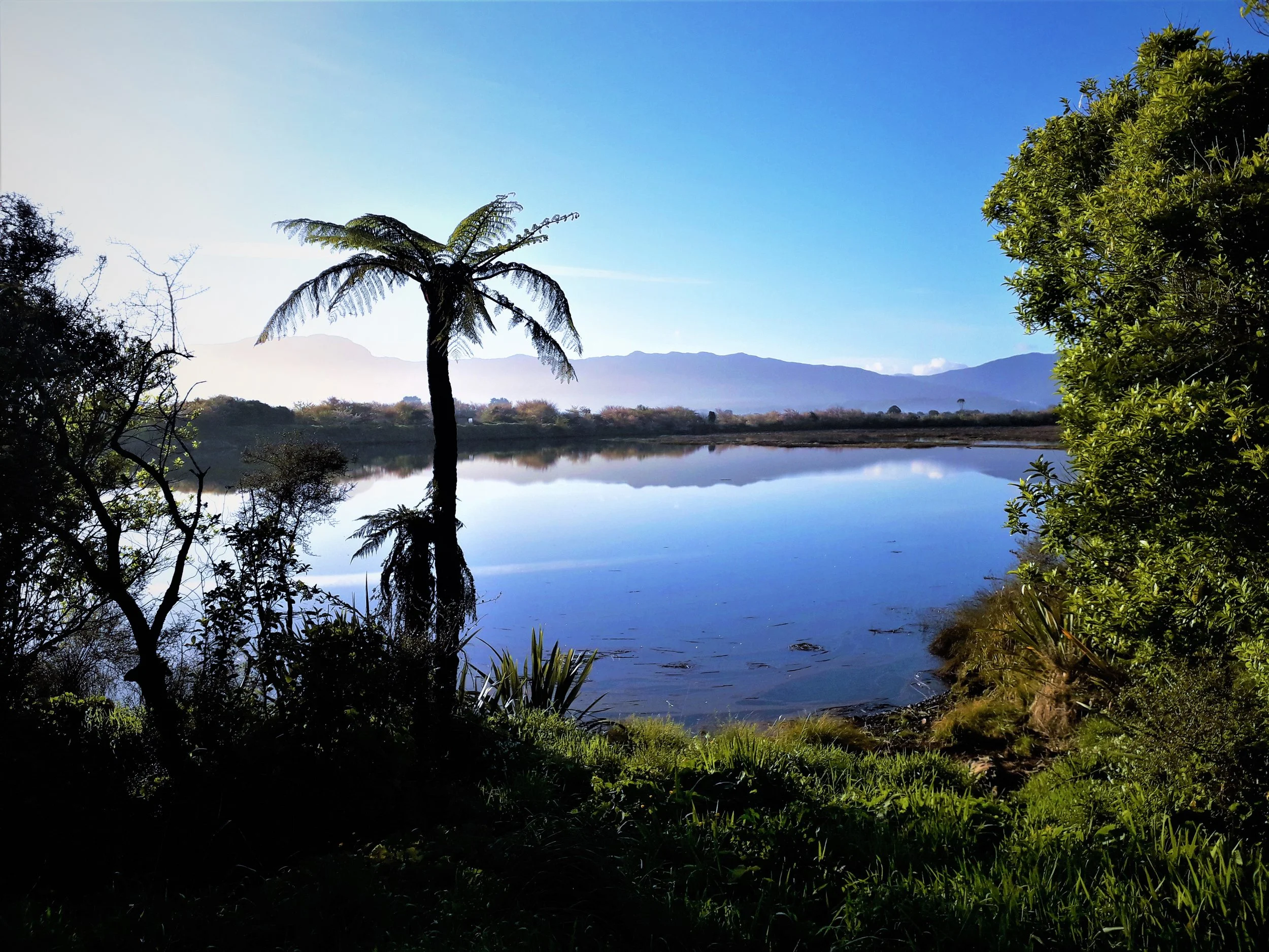 Introduction to Genesis (Medium)