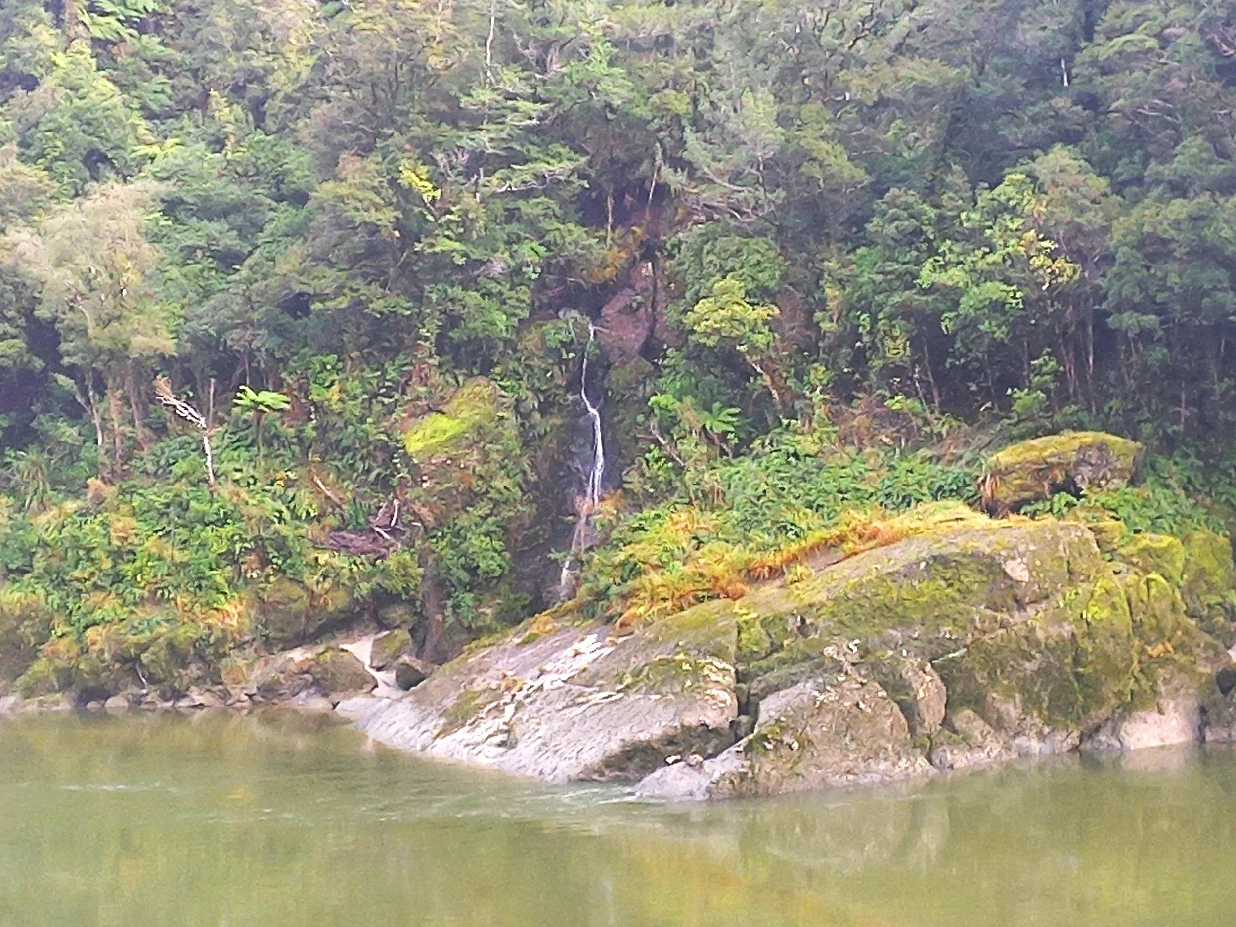 A Personal Reflection on Truth in God’s Garden