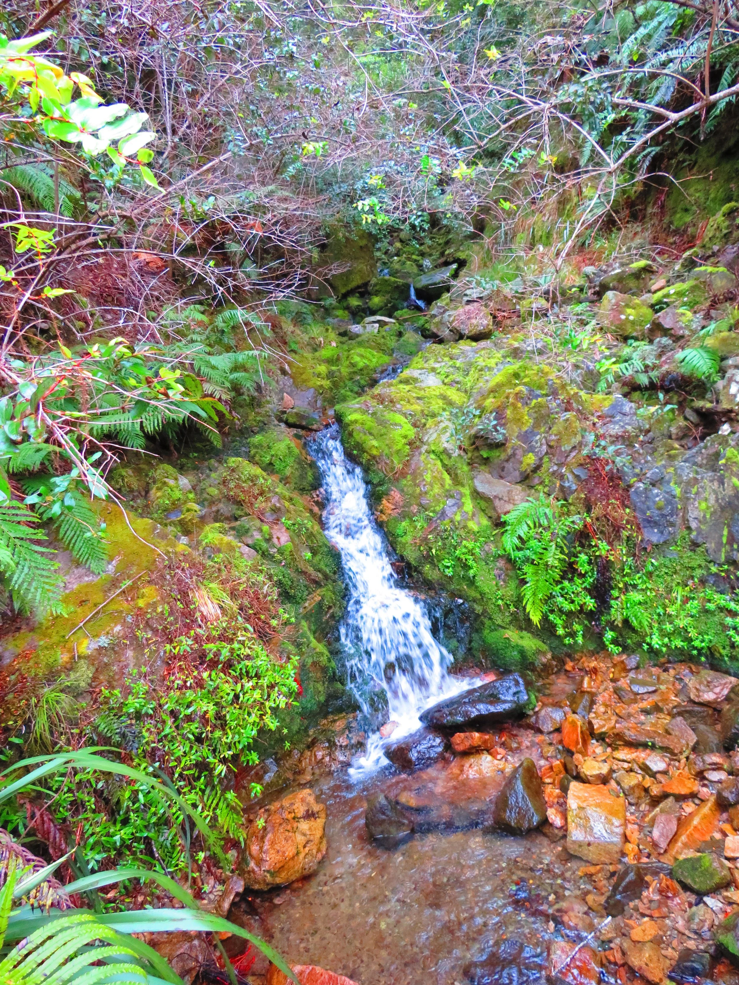 16-22 February 2026 (Genesis, Matthew, Psalms)