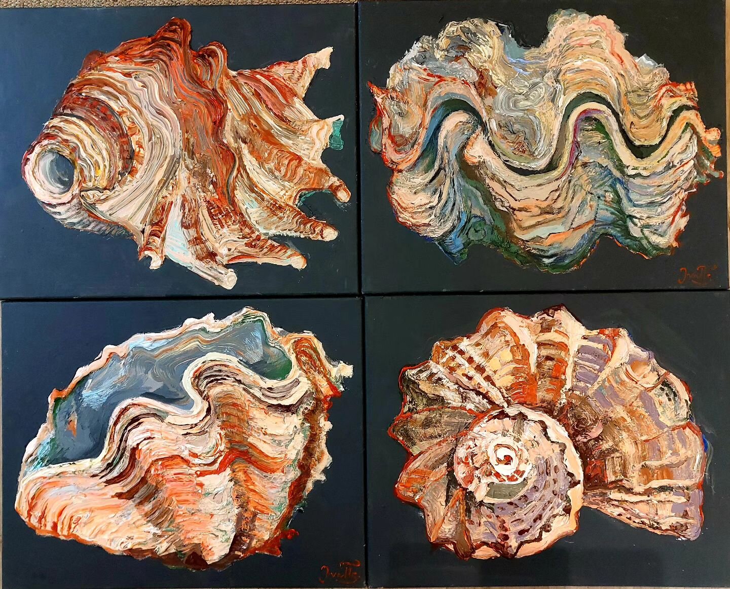 Revisiting my childhood love of shells and fossils - little whirlwinds of organic form - with these four canvases which are almost complete. Just a little more work to do on the bottom-right ammonite-like one! 🐚🤍🐚