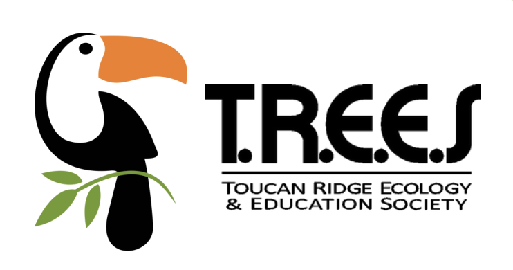 Toucan Ridge | Fall 2025