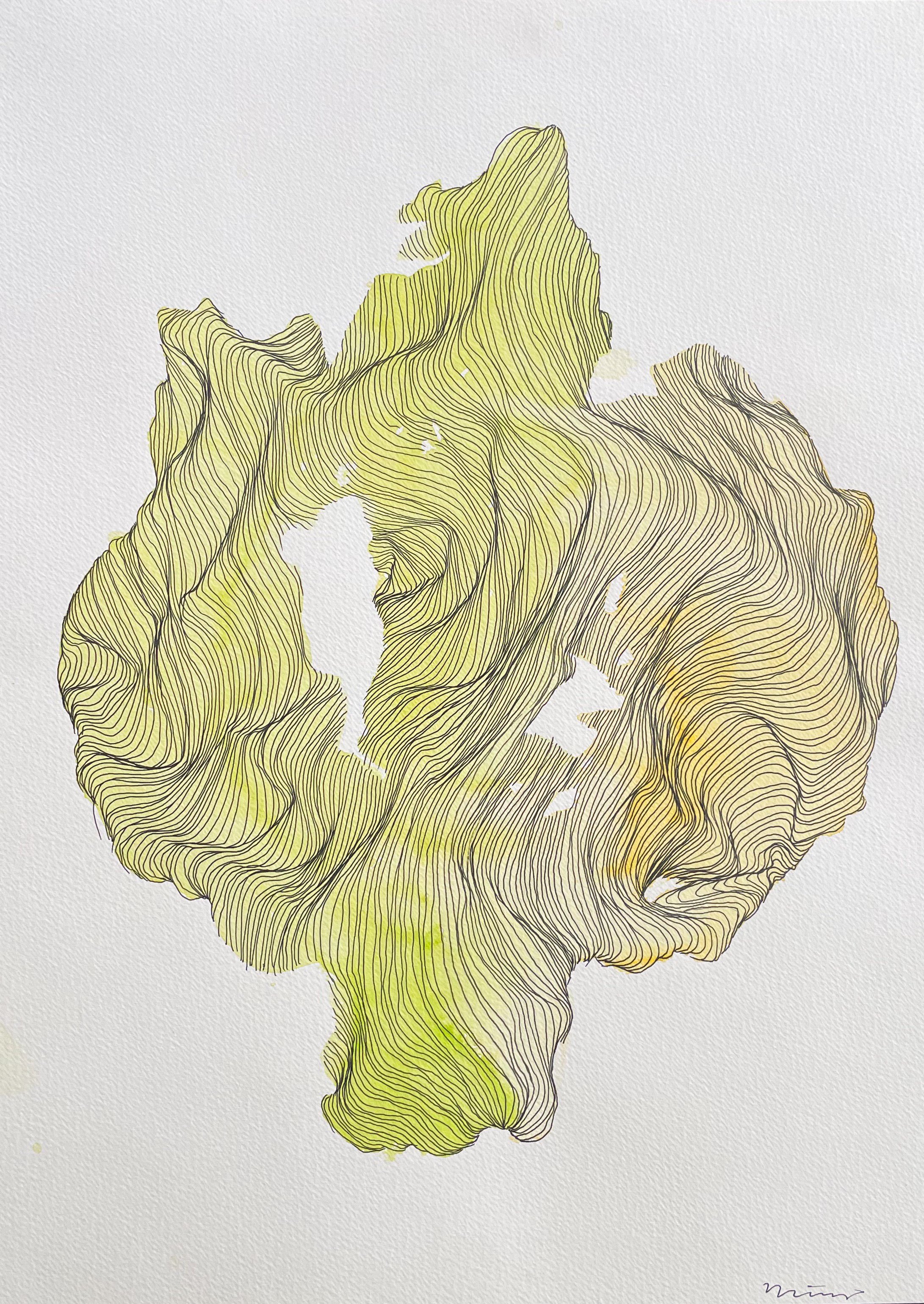 Watercolor-6.jpg