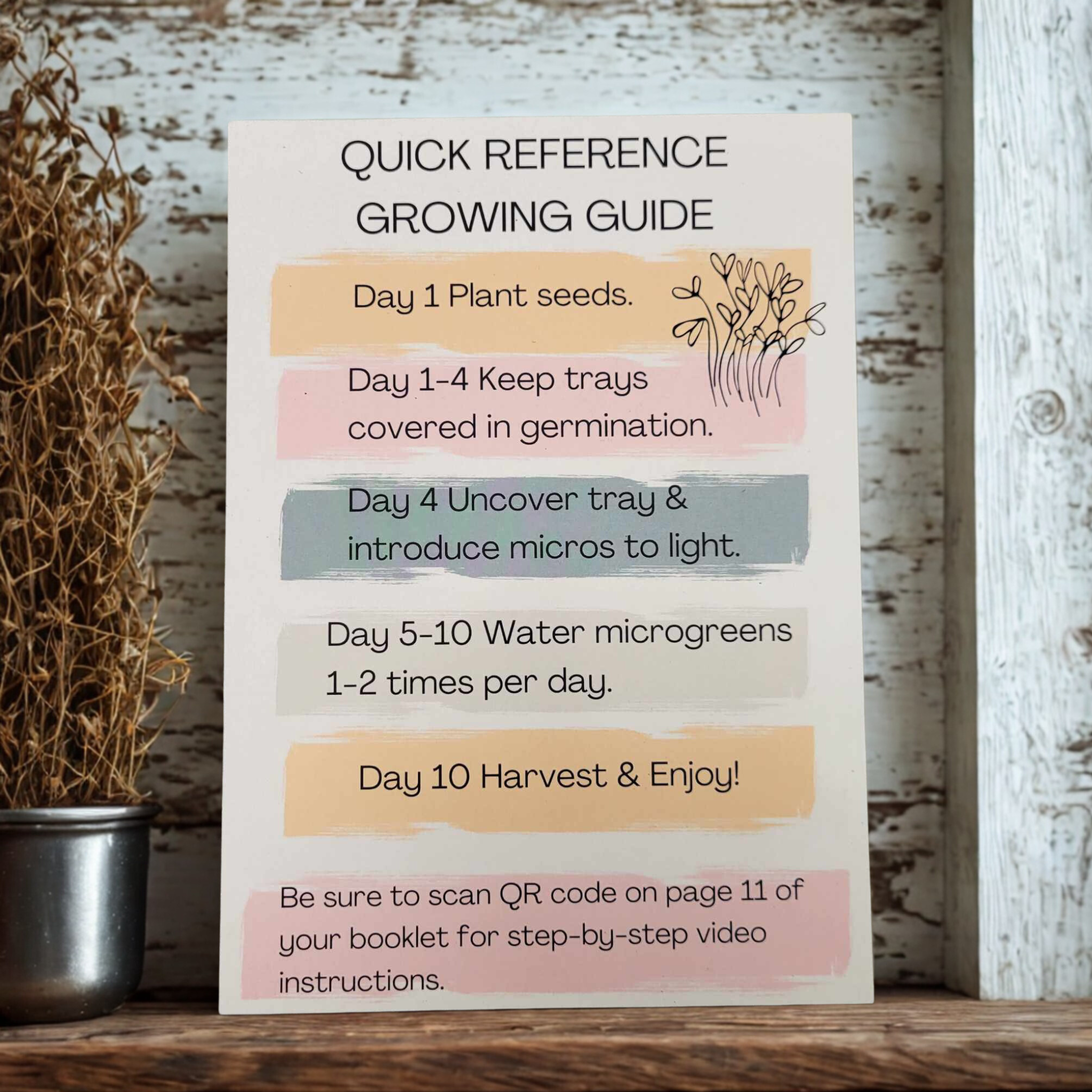 Untitled design (18).png