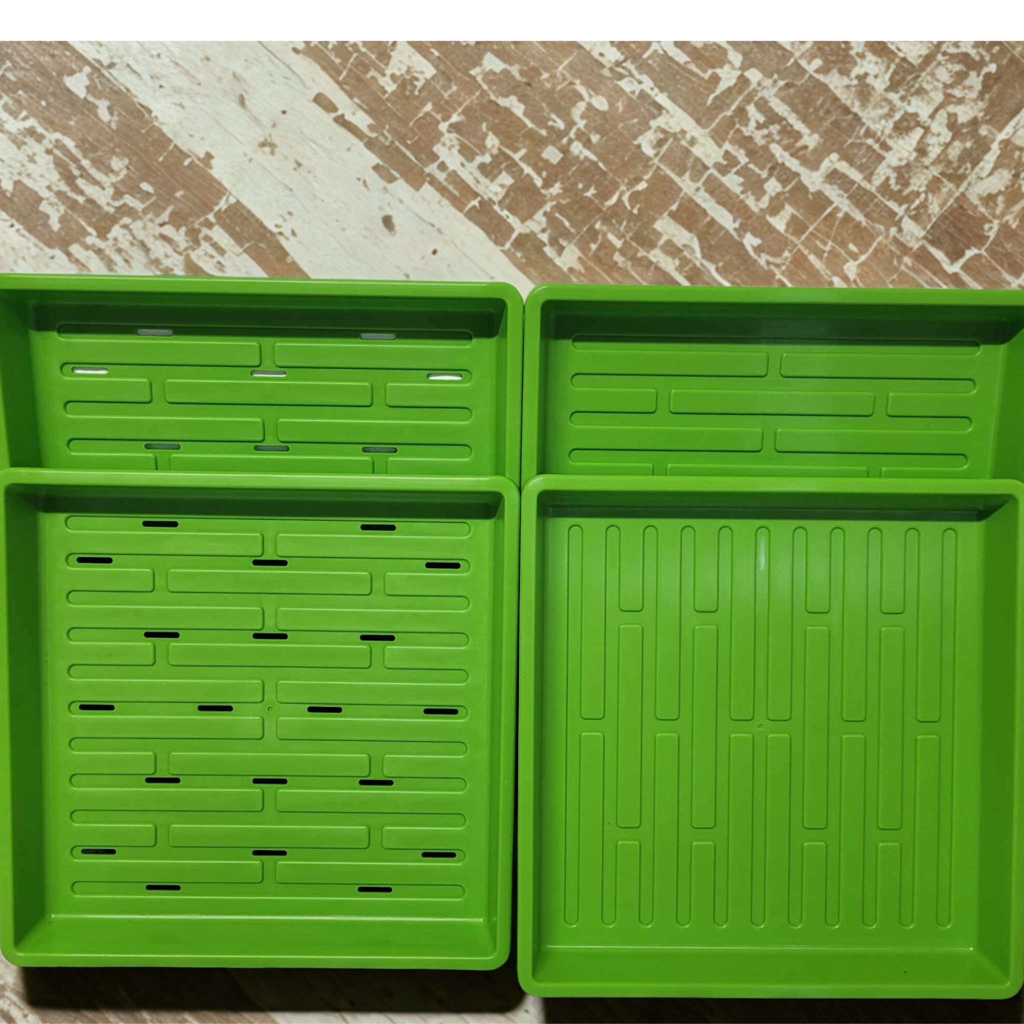 Untitled design (17).png