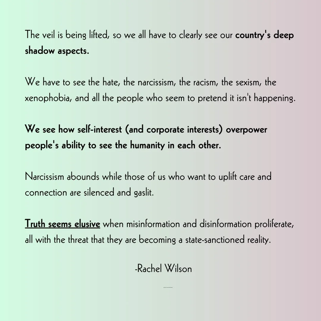 The veil is being lifted, so we all have to clearly see our country's deep shadow aspects.
We have to see the hate, the narcissism, the racism, the sexism, the xenophobia, and all the people who seem to pretend it isn't happening.
We see how self-i