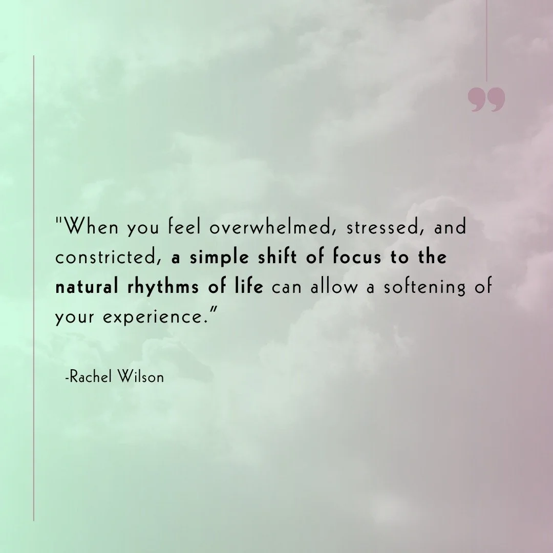 Humans have experienced many tragedies on small and large scales, yet we persist. 
We continue to breathe, love, laugh, and play.
We continue with life even when we have to look into the eyes of suffering, pain, and fear.
Life continues to express