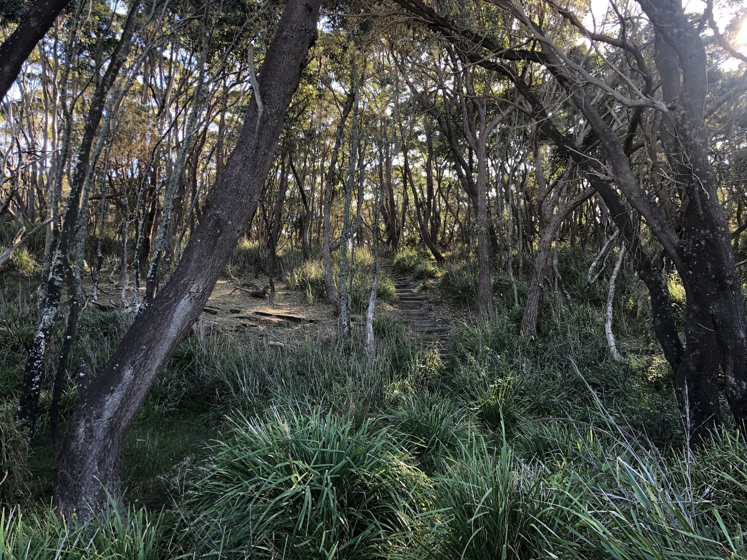 17 amazing south coast NSW secret spots that are worth the trek | EP.