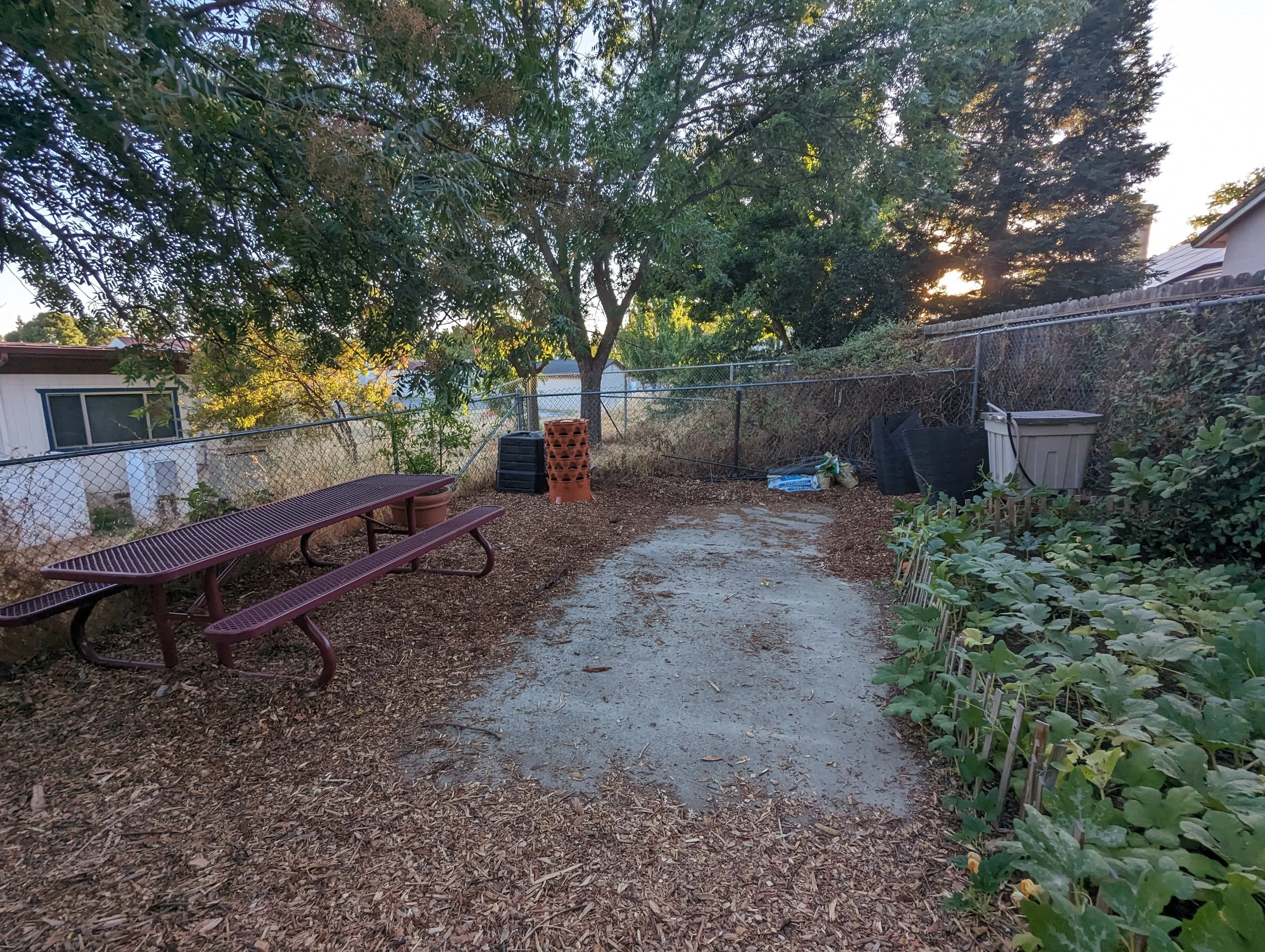 PXL_20230926_012109573.jpg