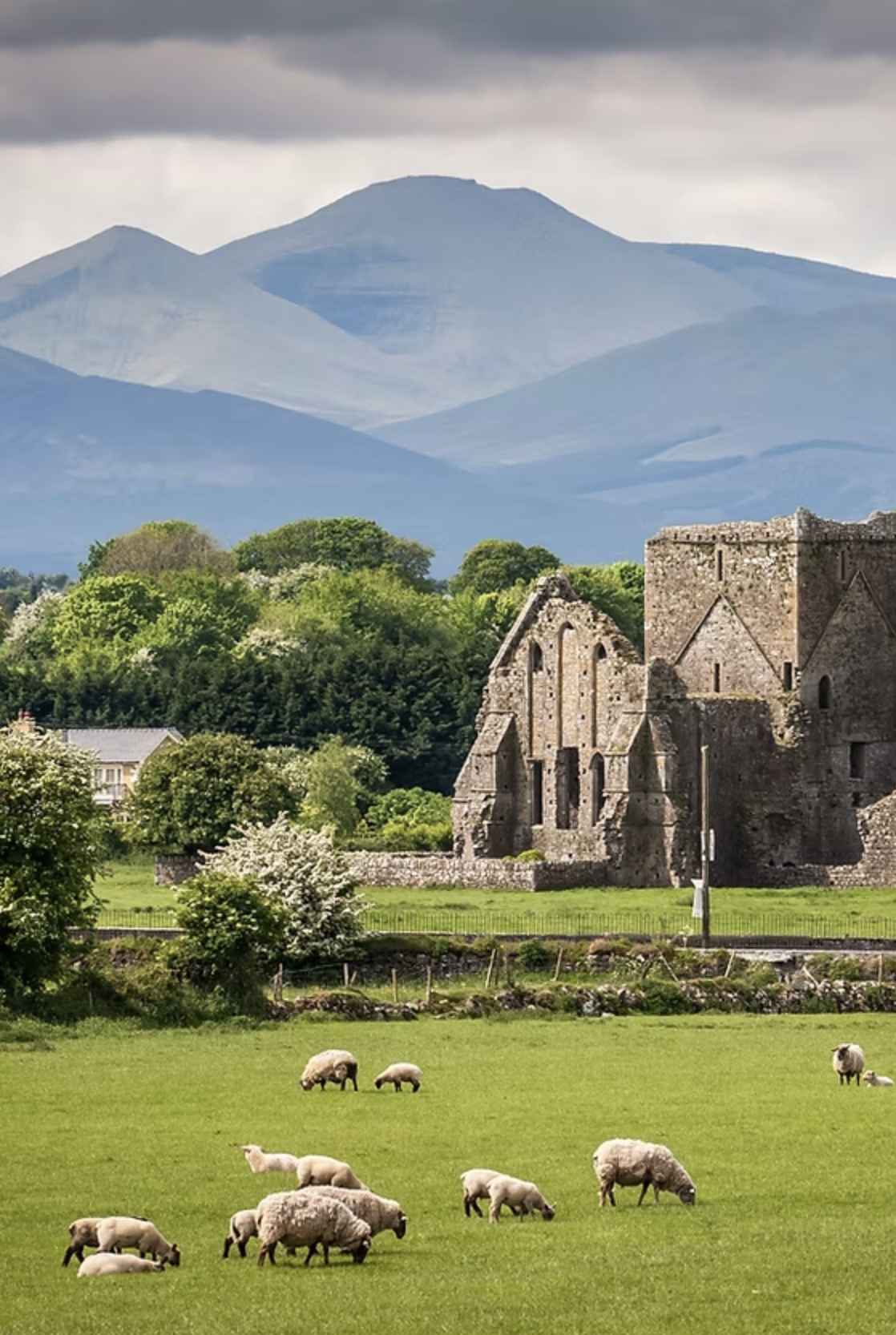 Idyllic Irish Landscape