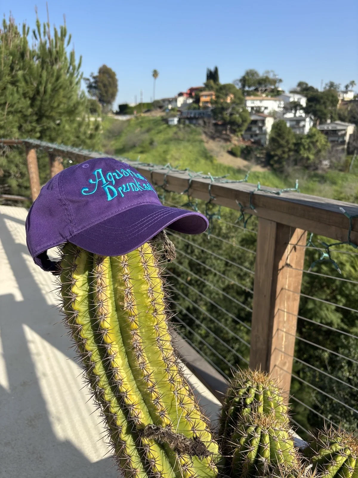 The AD Hat - Big Sur Purple
