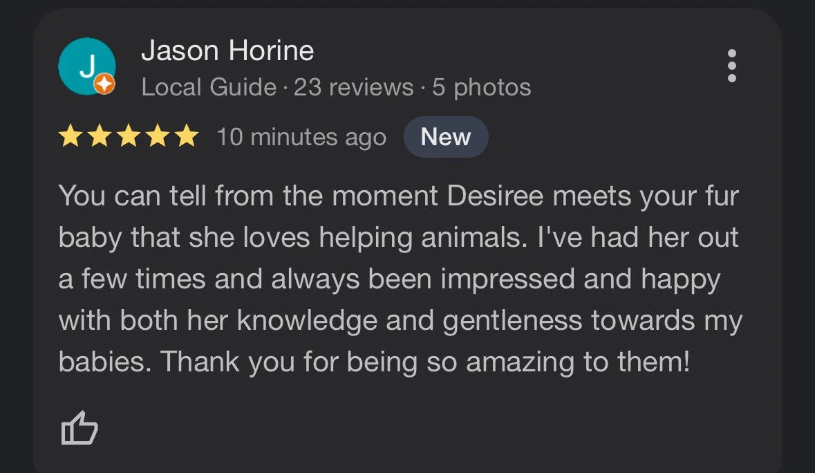 Jason Horine Foster Dogs x 3.jpeg