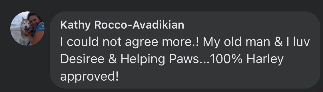 Kathy Avadikian Harley.jpeg