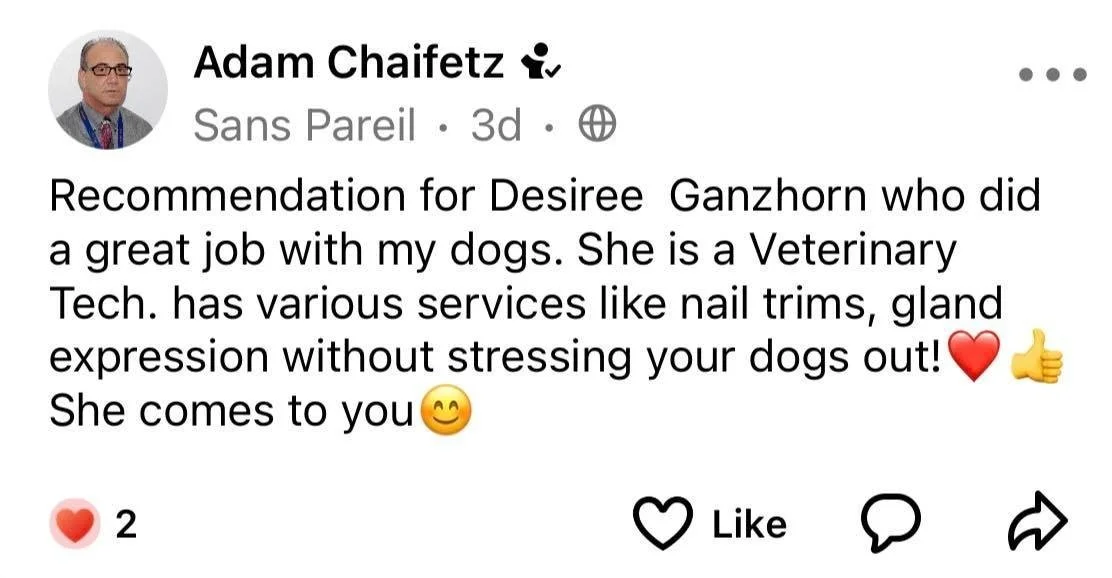 Adam Chaifetz.jpg