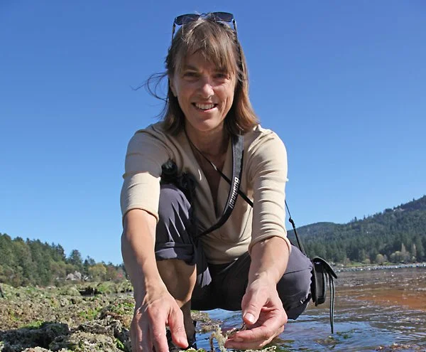 Protecting and Restoring Herring Populations in the Southern Salish Sea