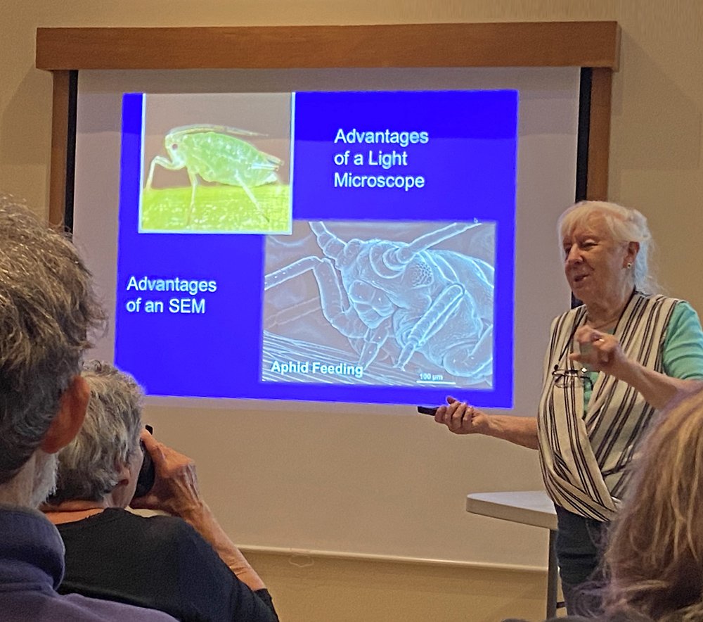 Biodiversity Days Nature Extravaganza