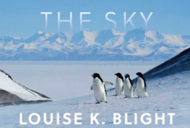 A Conversation with Louise Blight