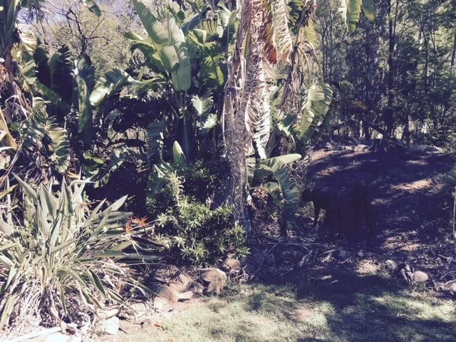 Highvale Sandstone (before)