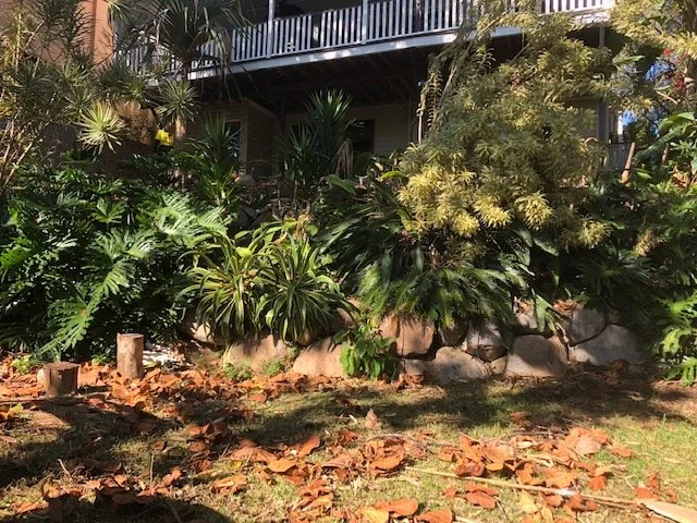 Carrol Street, The Gap (before)