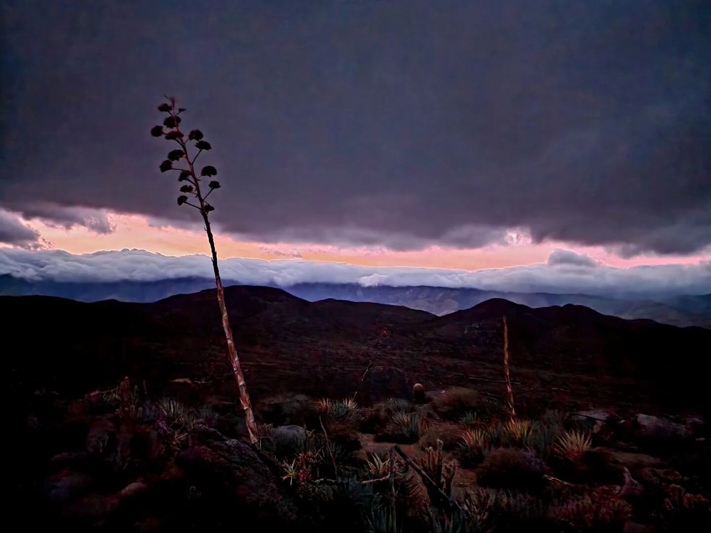 Storm rolling in like breakers over the mountains  and down to the desert like an inverted beach, and back again