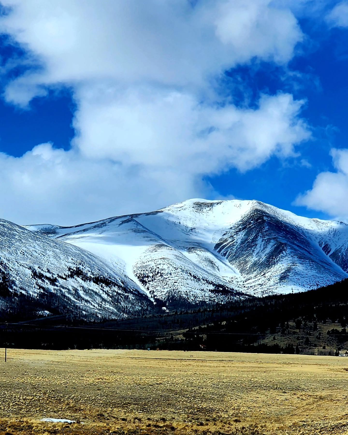 Across the Southern Rockies, enjoying #YourNationalForests from the Pike-San Isabel to the Rio Grande to the San Juan. On the return from the Colorado and Wyoming Chapters of The WildlifeSociety (@coloradowildlifesociety).

#NationalForests #PublicLa
