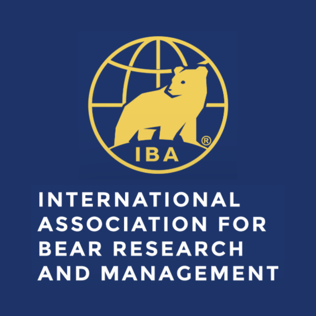 International Bear Association Conference