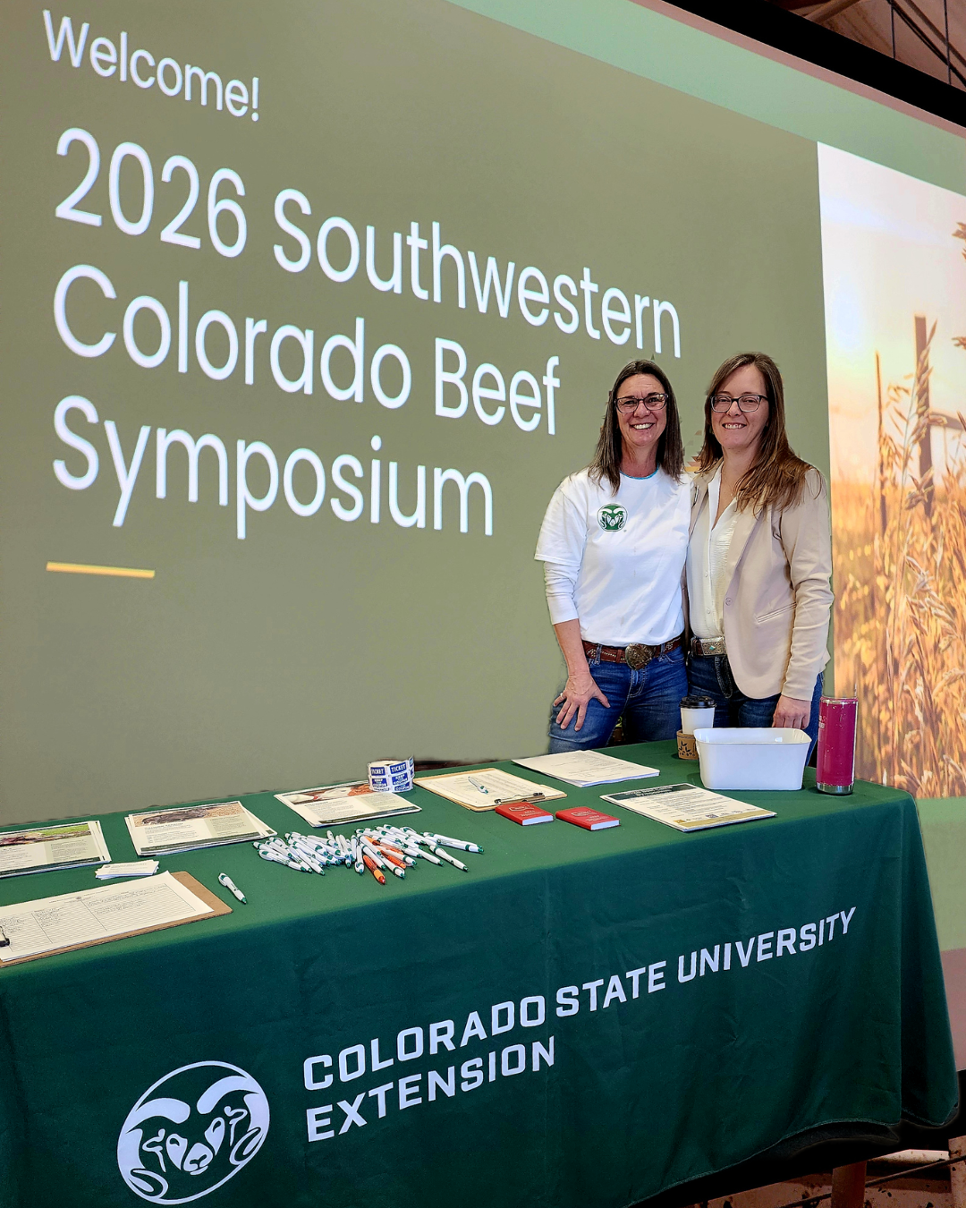 Untitled design (2).png