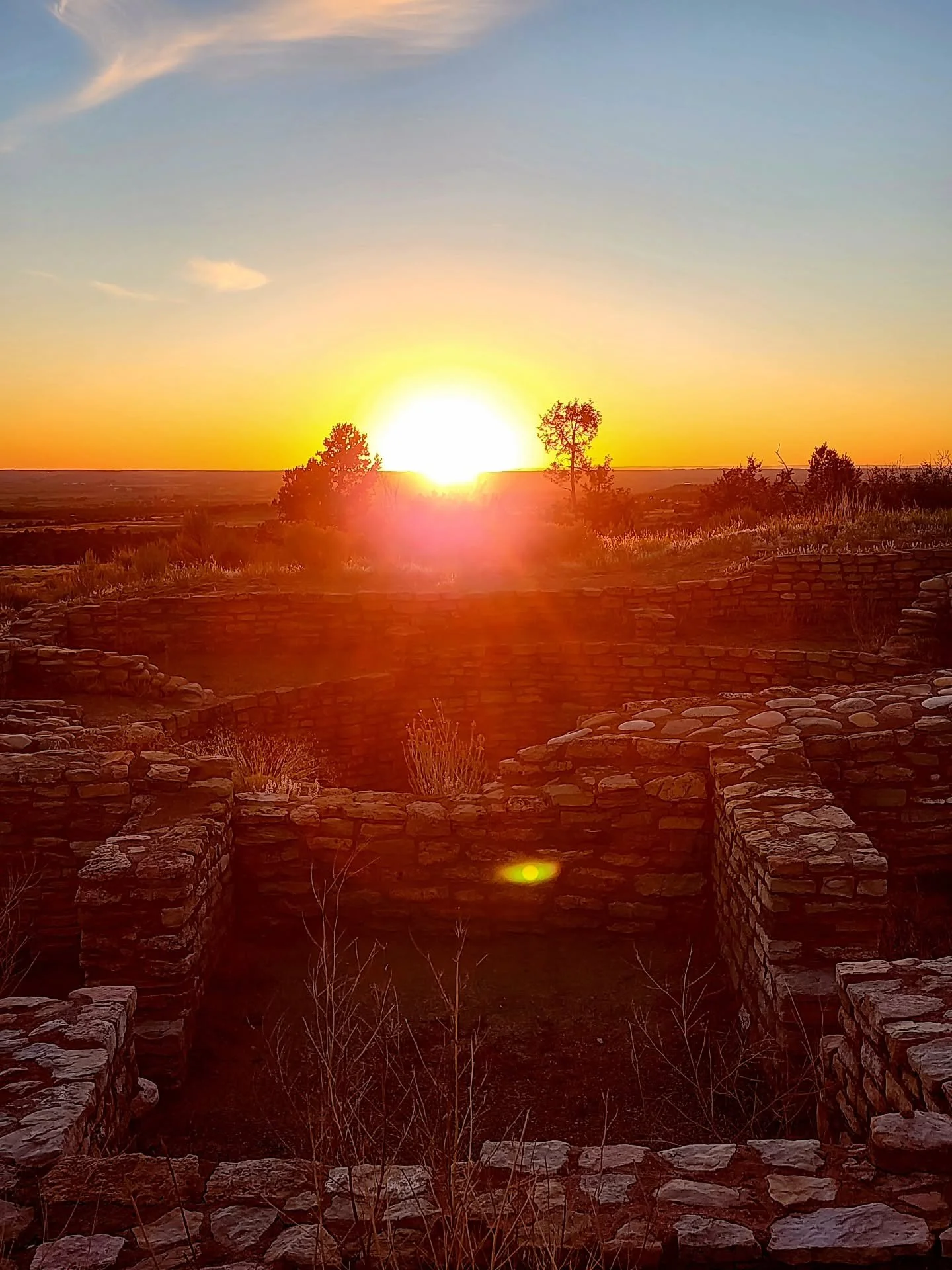 Harmony. Harvest. Hyperphagia.