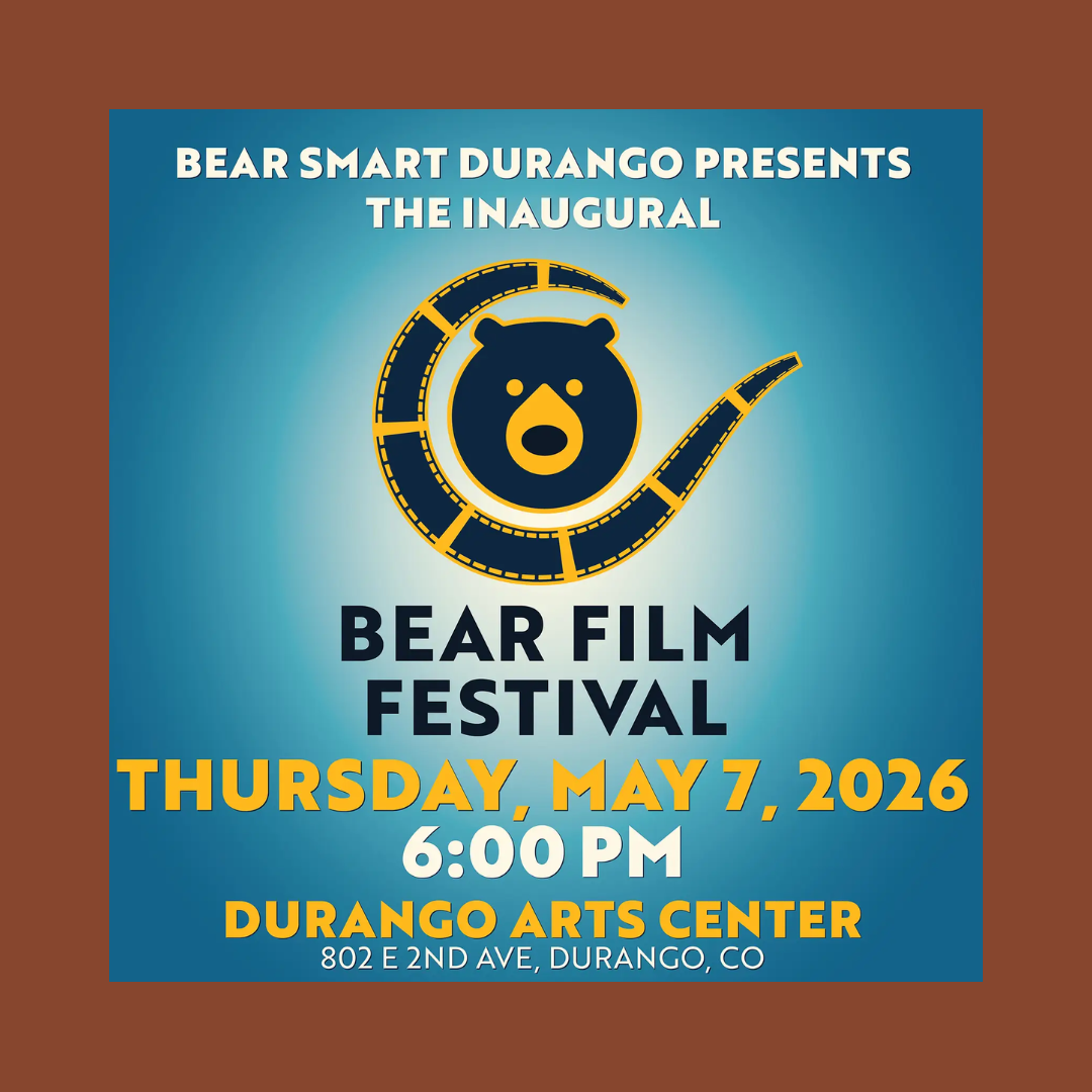 Bear Film Festival