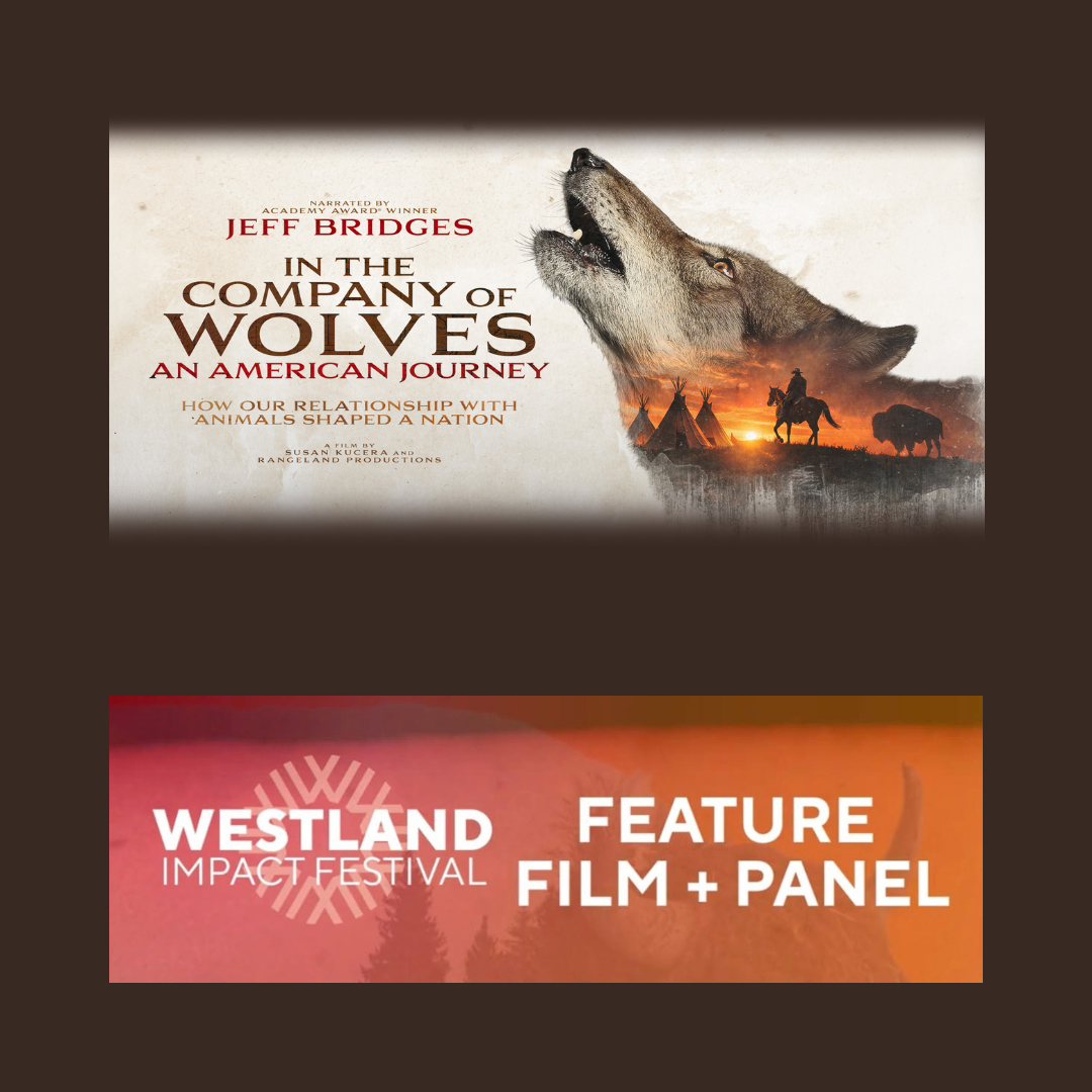 In The Company of Wolves film &amp; panel, Whitefish