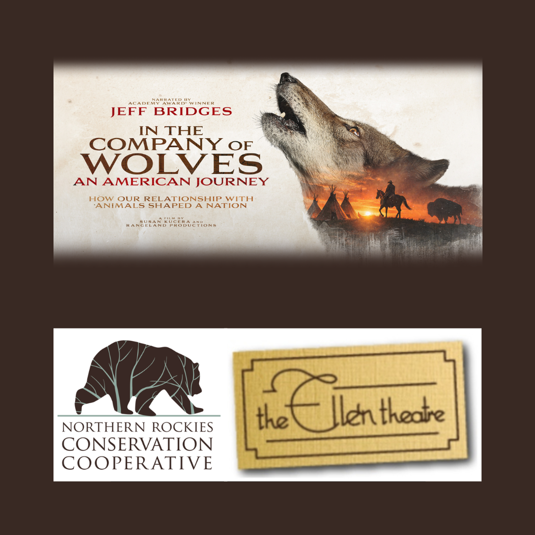 In The Company of Wolves film &amp; panel, Bozeman